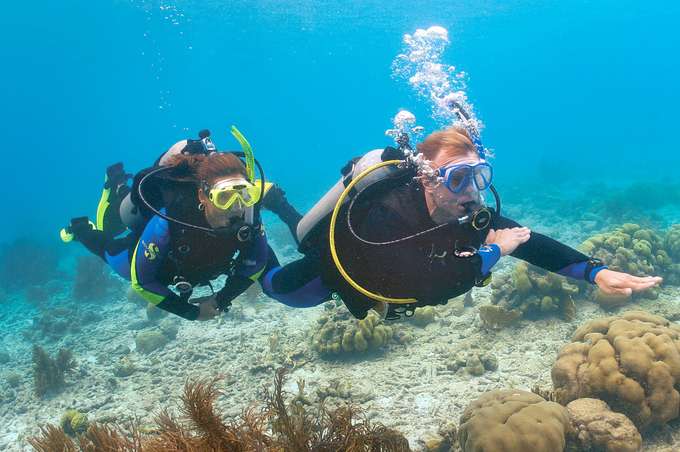 Scuba Diving Experience in Mahabalipuram
