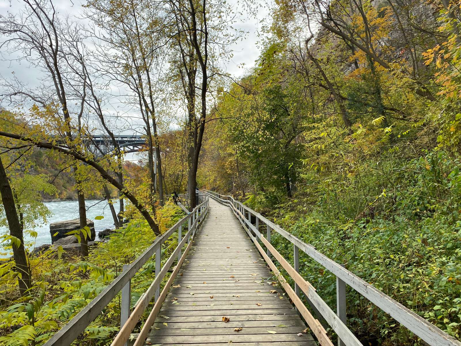 Niagara Falls: White Water Walk Image