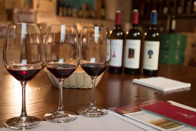 Taste the finest wines in Tuscany