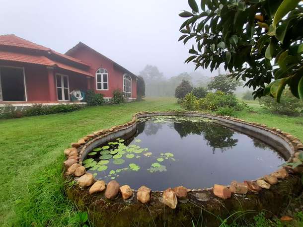 Dkqvcm51o5dsm13320s84t1p6loe 141090103 10219544059932289 5791539778766692010 n