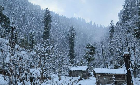 Riverside Camping In Jibhi Image