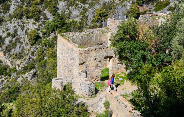 Dlb8hzzmzuawv0qq12ln0t8wqtlm rer