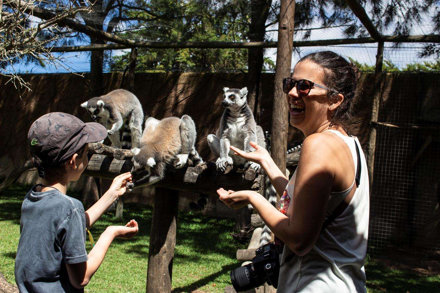 Lagos Zoo Tickets Image