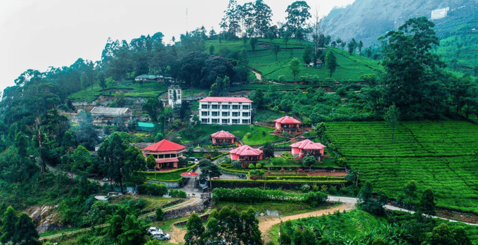 Hilltop Homestay in Munnar