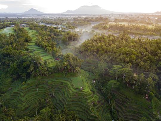 Tukad Cepung Waterfall Tour Image