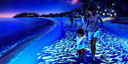 Siloso Beach Light Show