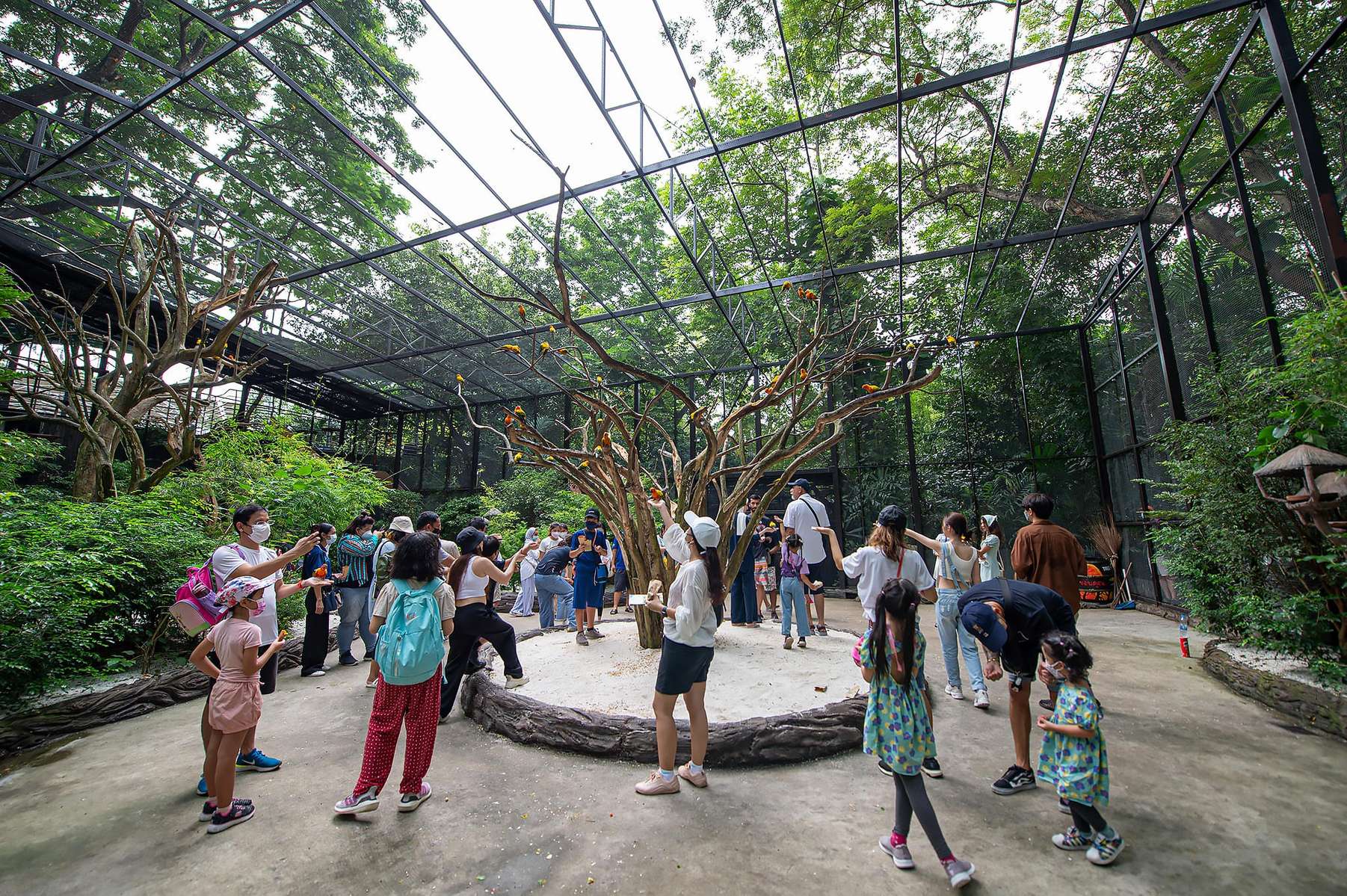 Safari World Tickets Image