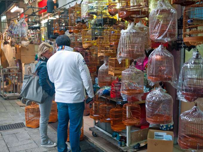 Kowloon Market Hopping Tour Hong Kong