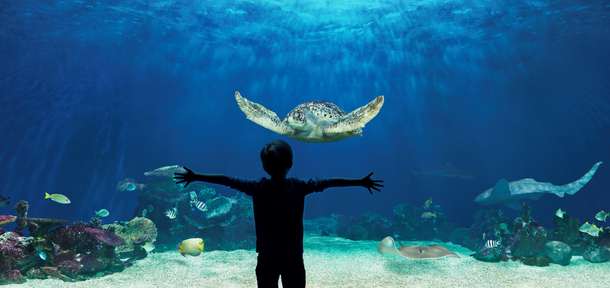 Duugdr8y4b8dvus4py7ri8n83bgi e9af2472210148dbaea6e4c9af35a132