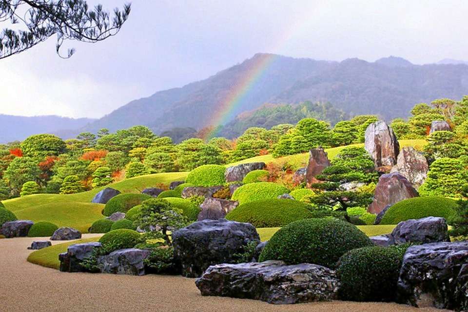 The Instagrammable Japan | Cherry Blossom Special Image