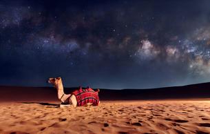 Capture breathtaking sunset views over endless dunes, a picture-perfect moment.