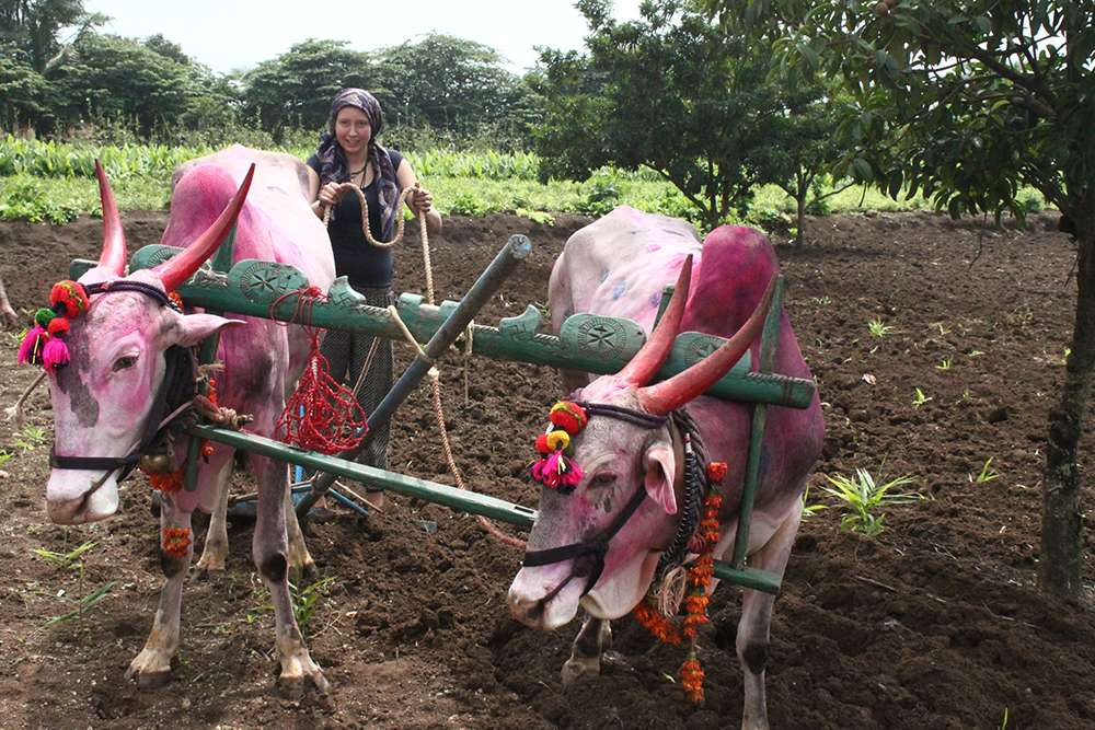 Day Out At The Hidden Oasis Image
