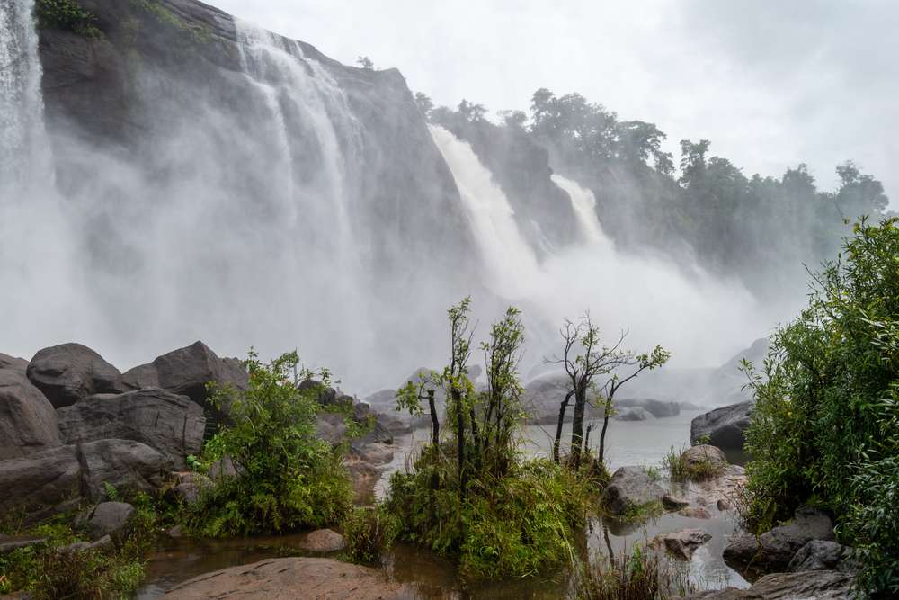 Munnar Thekkady Tour Package from Bangalore Image