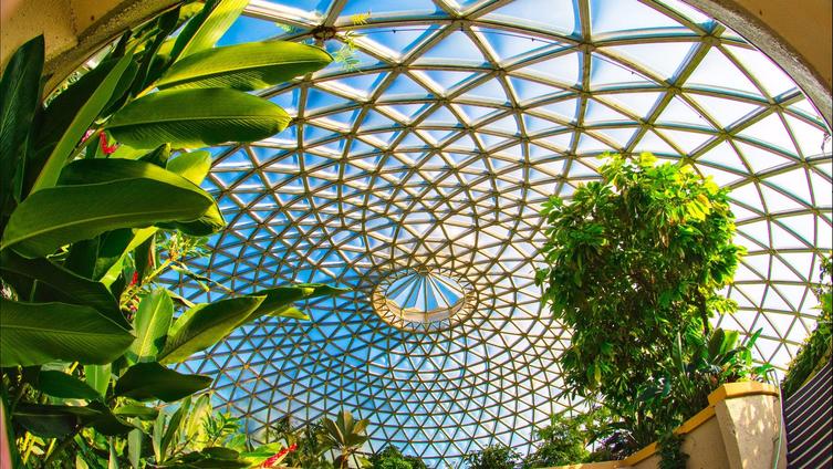 Mount Coot Tha Botanic Gardens