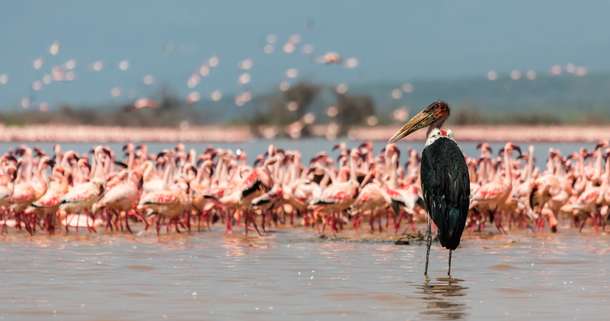 Dybipnqydijw41f2ecsbxc7zdmgk shutterstock 344974034