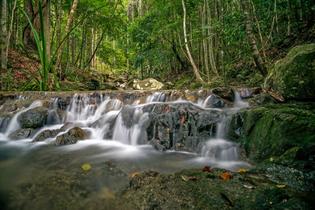 Dz9zx9vq2df4hyxsm65y9luil66d 1627306636 shutterstock 1253410150