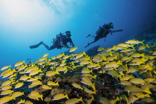 Reethi Rah Beach Resort Maldives Image