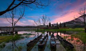 Singaraja Lovina Tour Image