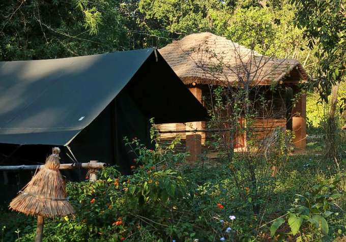 Camping In Jim Corbett Periphery