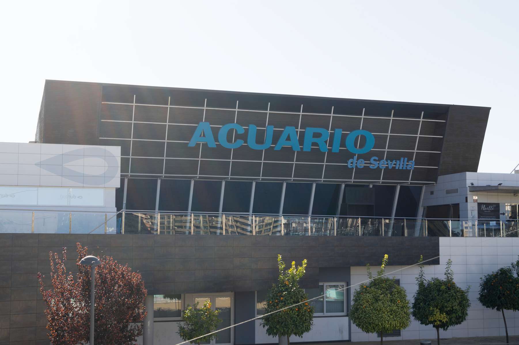 Seville Aquarium Tickets Image