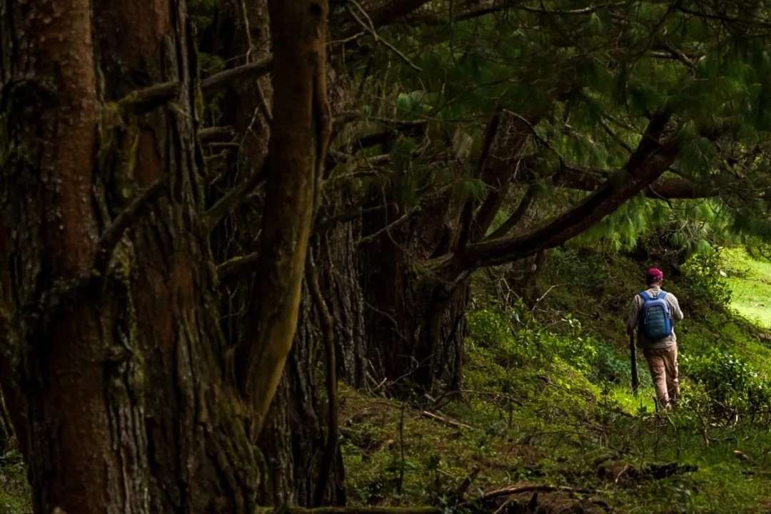 Kutladampatti Falls Trek, Tamil Nadu