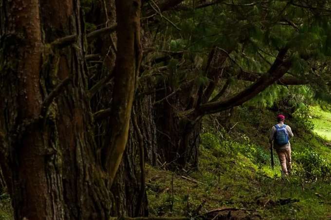 Kutladampatti Falls Trek, Tamil Nadu