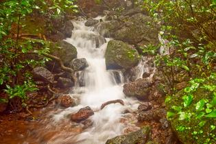 E4zpgq0z6sbsbe6hhrii59w2ouzv 1592664366 shutterstock 510046039