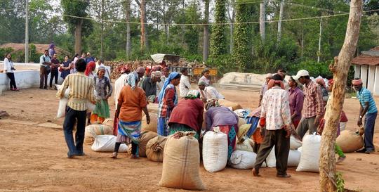 Coffee Tour Coorg Image