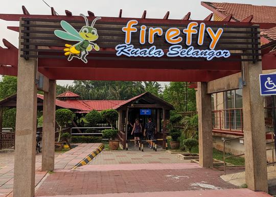 Kuala Selangor Fireflies Night Tour Image