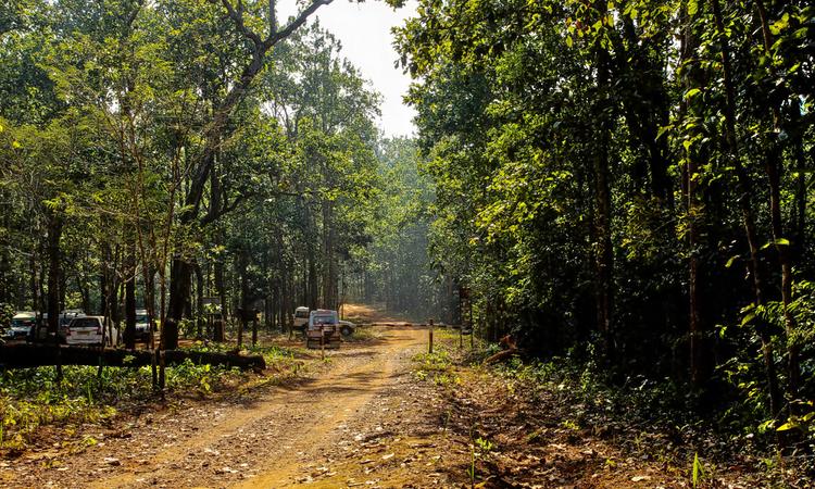 Simlipal National Park