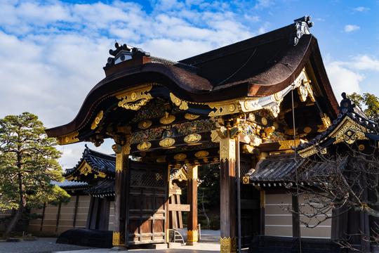 Kyoto and Nara Sightseeing Tour Image