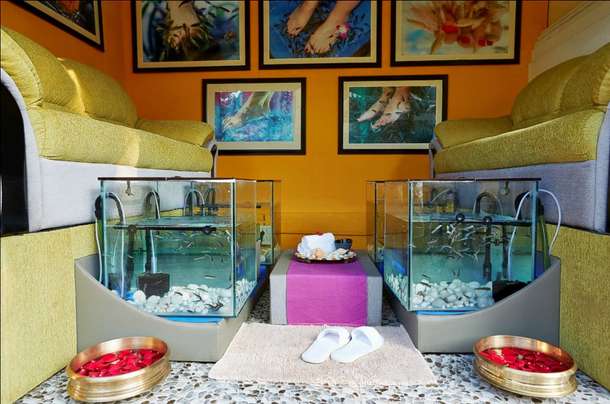 E9if6ldnkyuh3ccbwk3g4wjaui61 1603720584 bardez8