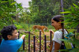 Rainforest Wild ASIA Tickets | Mandai Wildlife Reserve