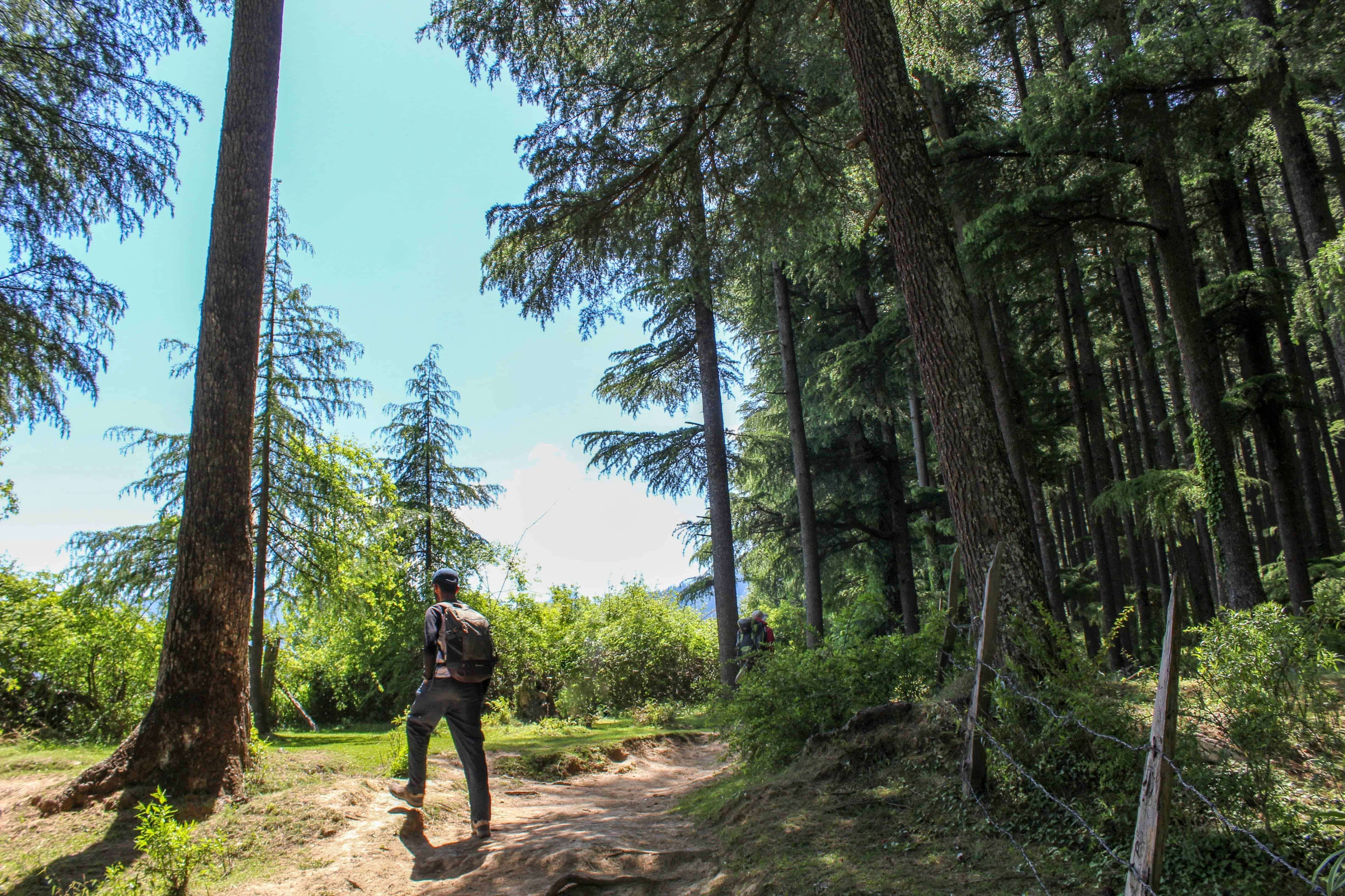 Chota Shivgarh Trail from Patnitop