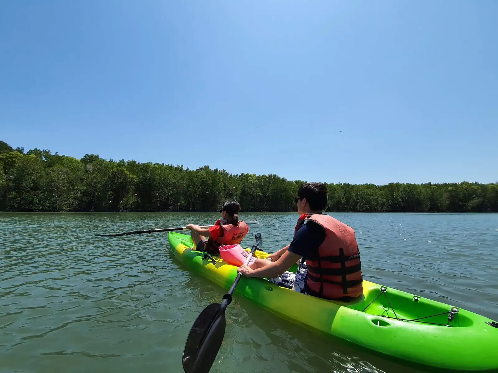Private Mangrove Kayak Tour in Langkawi Image