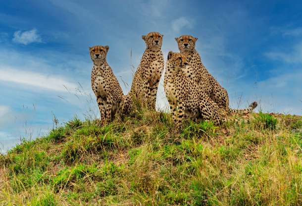 Ebytcdcnlq0lp6d8ax6medjgjx34 shutterstock 2138728139