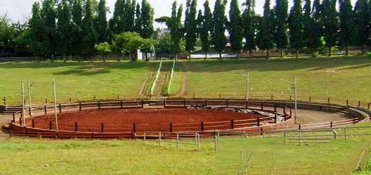 Khasbag Wrestling Stadium