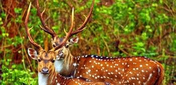 Ee9g61we2p6r3mpm16dpdq2dxdci 5873684923 3e4cfeda66 o.jpg