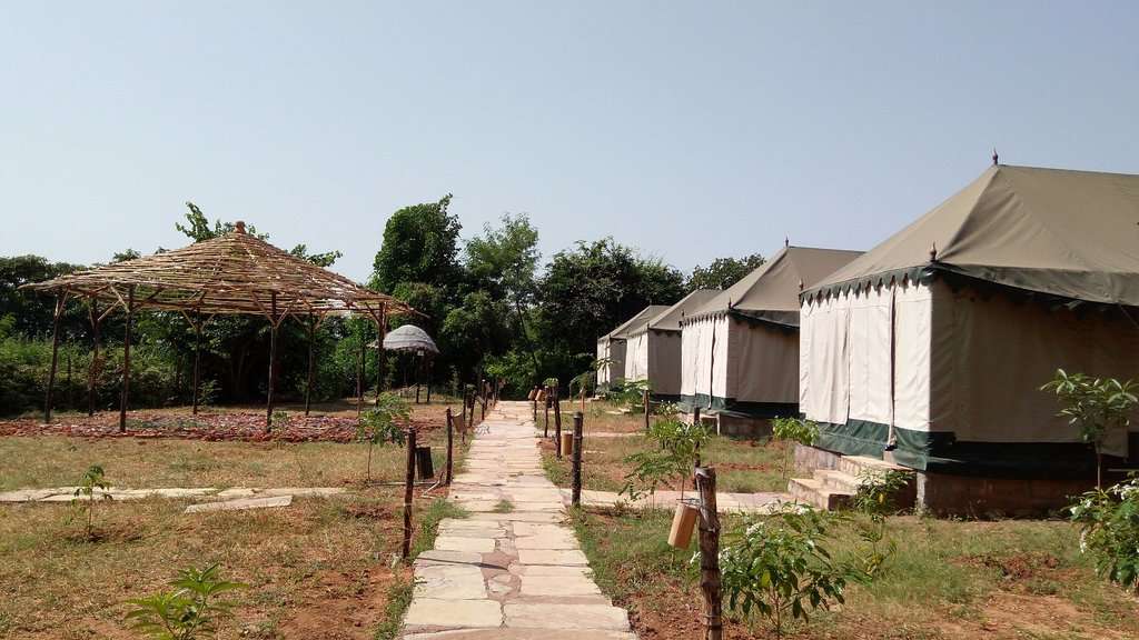 Greetoe Camp Panna  Image