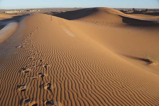 Ehohpi1yof1cdd1s5tgbs8o4nzxq desert