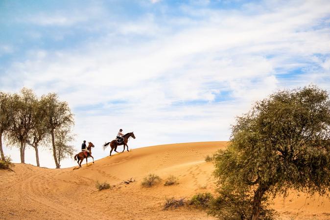 Al Wadi Equestrian Adventure Centre