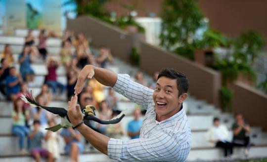 Bird Paradise Tickets Image