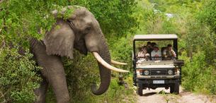 Nagarhole National Park Safari Tickets