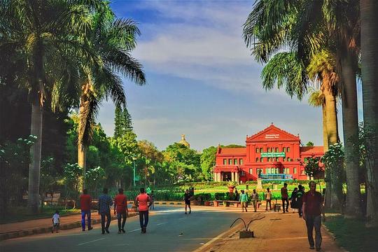 Guided Walk Through Cubbon Park Image