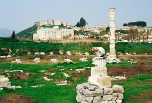 Em0y0nl5n140c2h0e2a14mq3fie9 downpic.cc image5264953