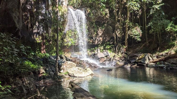 Tamborine National Park