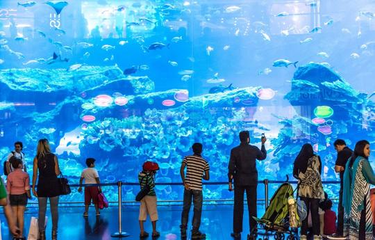 Atlantis Aquaventure Waterpark & Aquarium Combo Tickets Image