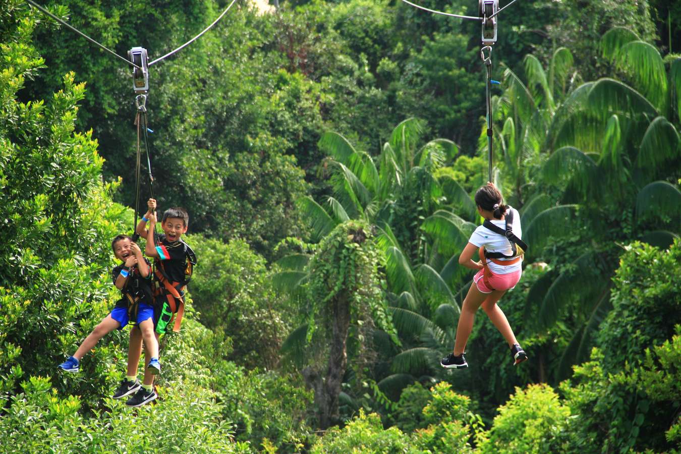 Mega Adventure Park, Singapore