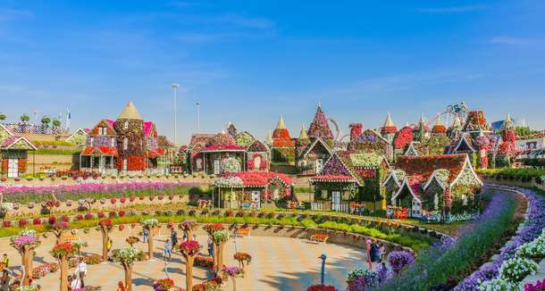 The magnificent Dubai Miracle Garden