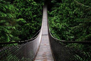 Mysore Walking Tour Image